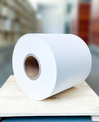 Materiale di bellezza polare carta adesiva per etichette per stampanti resistente alle intemperie