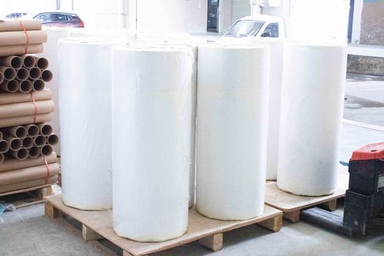 Colla acrilica BOPP carta adesiva Jumbo Roll spessore della faccia 30μ