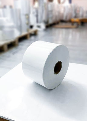 Etichette adesive autoadesive impermeabili in rotoli di carta rivestimento di superficie in PET opale