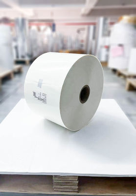 Carta rivestita in PE trasparente impermeabile, rotoli di carta spessore di carta 62 g