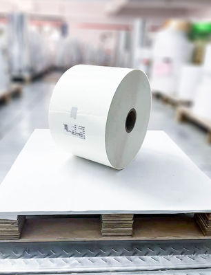 Materiale di etichettatura in PE lattiero-caseario Carta a rotolo Adesivo acrilico Tipo di colla