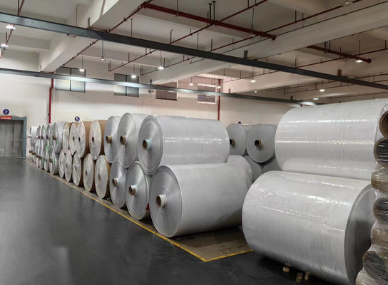 Carta sintetica resistente all'usura per stampanti a getto d'inchiostro