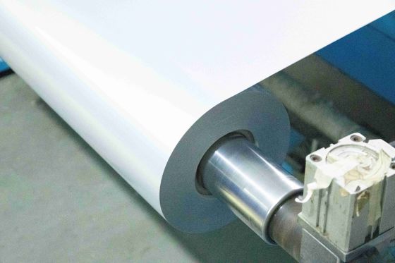 Film di stampa PET trasparente Etichette autoadesive Materiali carta tipo colla calda