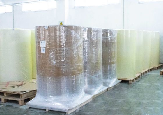 Tipo di colla per olio Etichette sintetiche Materiale Etichette in rotoli trasparenti