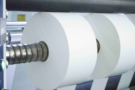Tipo di colla di fusione a caldo Etichetta in rotoli di carta rivestita Spessore superficiale 250 u