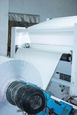 Tipo di colla di fusione a caldo Etichetta in rotoli di carta rivestita Spessore superficiale 250 u