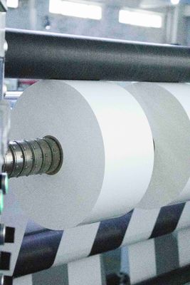 Etichette di carta rivestita adesiva resistente all'acqua Certificato SGS