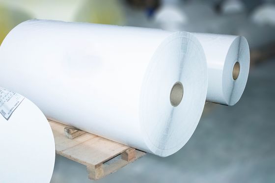 Rulli di carta rivestiti in PE resistenti all'usura Spessore superficiale 200 u Colla acrilica