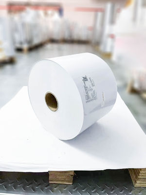 Inchiostro Matte autoadesivo carta sintetica resistente all'usura