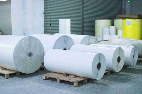 Carta sintetica rivestita Carta termica Jumbo Roll 75u Spessore superficiale Colla oleosa