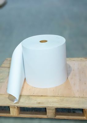 Polar Beauty Jumbo Stampa carta rotolo colla acrilica trasferimento termico