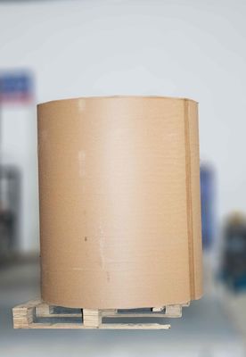 Colla rimovibile Jumbo Thermal Roll, Rilascio Liner Paper Roll Lunghezza 1000m