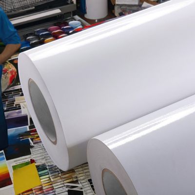 Materiali di stampa Carta rivestita con adesivo permanente e pellicola PET trasparente