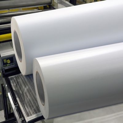 80 g Etichetta in carta rivestita con adesivo acrilico permanente di viscosità e carta bianca di vetro