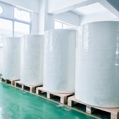 80±5% di peso della linea 70±5% di spessore della linea Materiale di etichetta per la stampa su carta rivestita