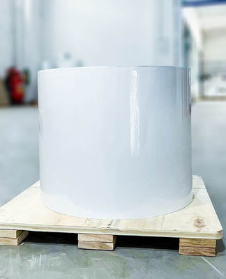 Buon prezzo Tipo di colla per pneumatici Materiale di etichetta adesiva in PE Spessore della superficie del rotolo 80 u in linea