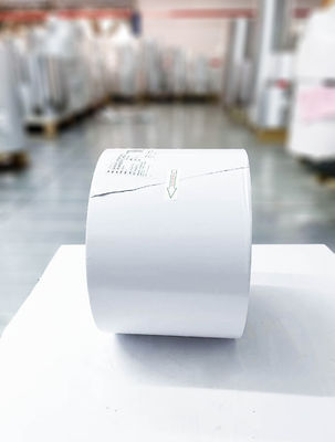 Buon prezzo Tipo di colla per olio Autoadesivo PVC carta a rotoli trasparente PET ordinario appiccicoso in linea