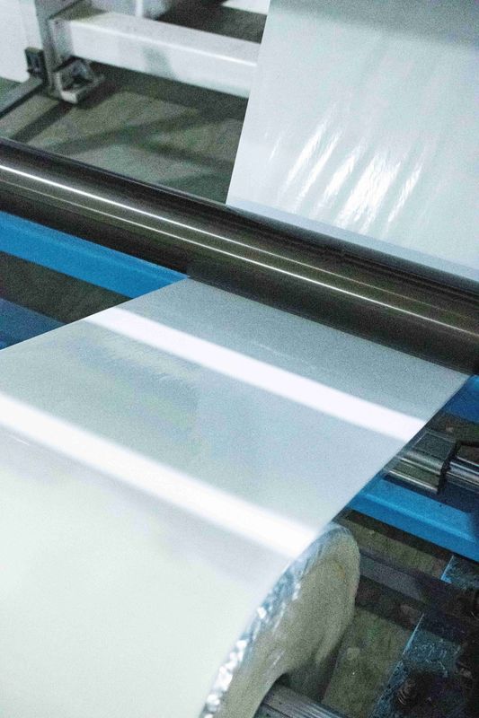 Film di stampa PET trasparente Etichette autoadesive Materiali carta tipo colla calda