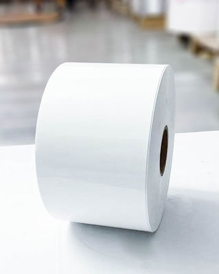 Buon prezzo Tipo di colla acrilica adesiva carta termica Jumbo Roll Etichetta adesiva normale in linea